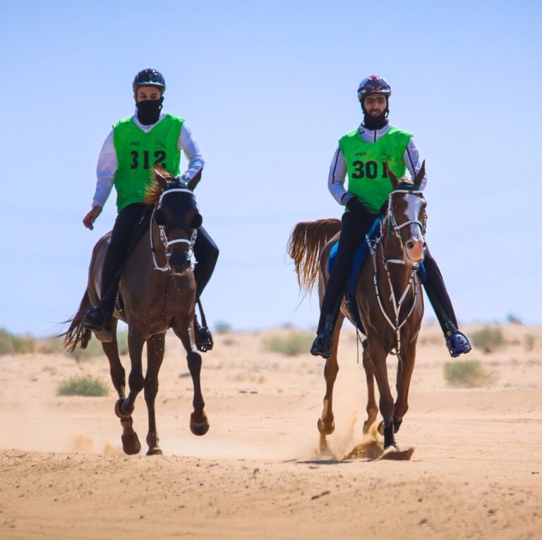 تغطية كأس اللجنة الأولمبية والبارالمبية السعودية للقدرة 2022
